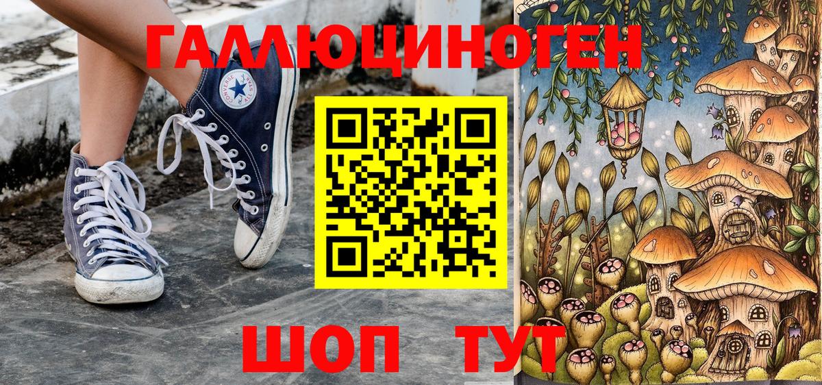 Галлюциногенные грибы мухоморы  Вход с VPN  Йошкар-Ола  продажа наркотиков  Галлюциногенные грибы Psilocybe 